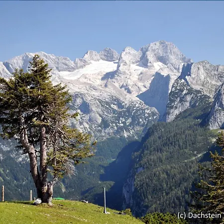 Σπίτι διακοπών Holiday Alpenrose.11 *